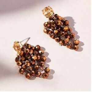 NWT Anthropologie Waterfall Beaded Earrings Taupe Multi